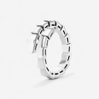 Serpentine Ring - The Essential