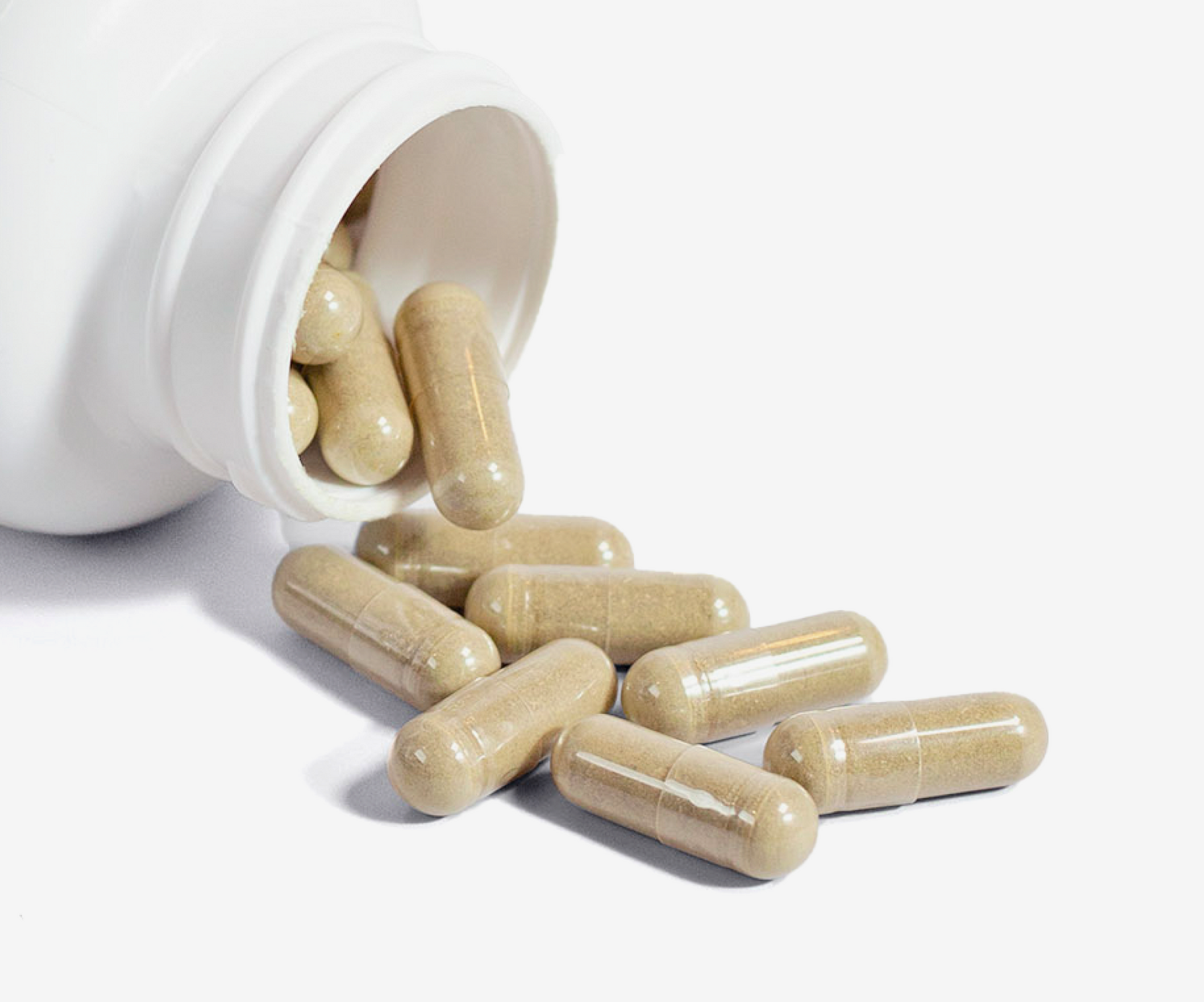 Moringa - The Essential