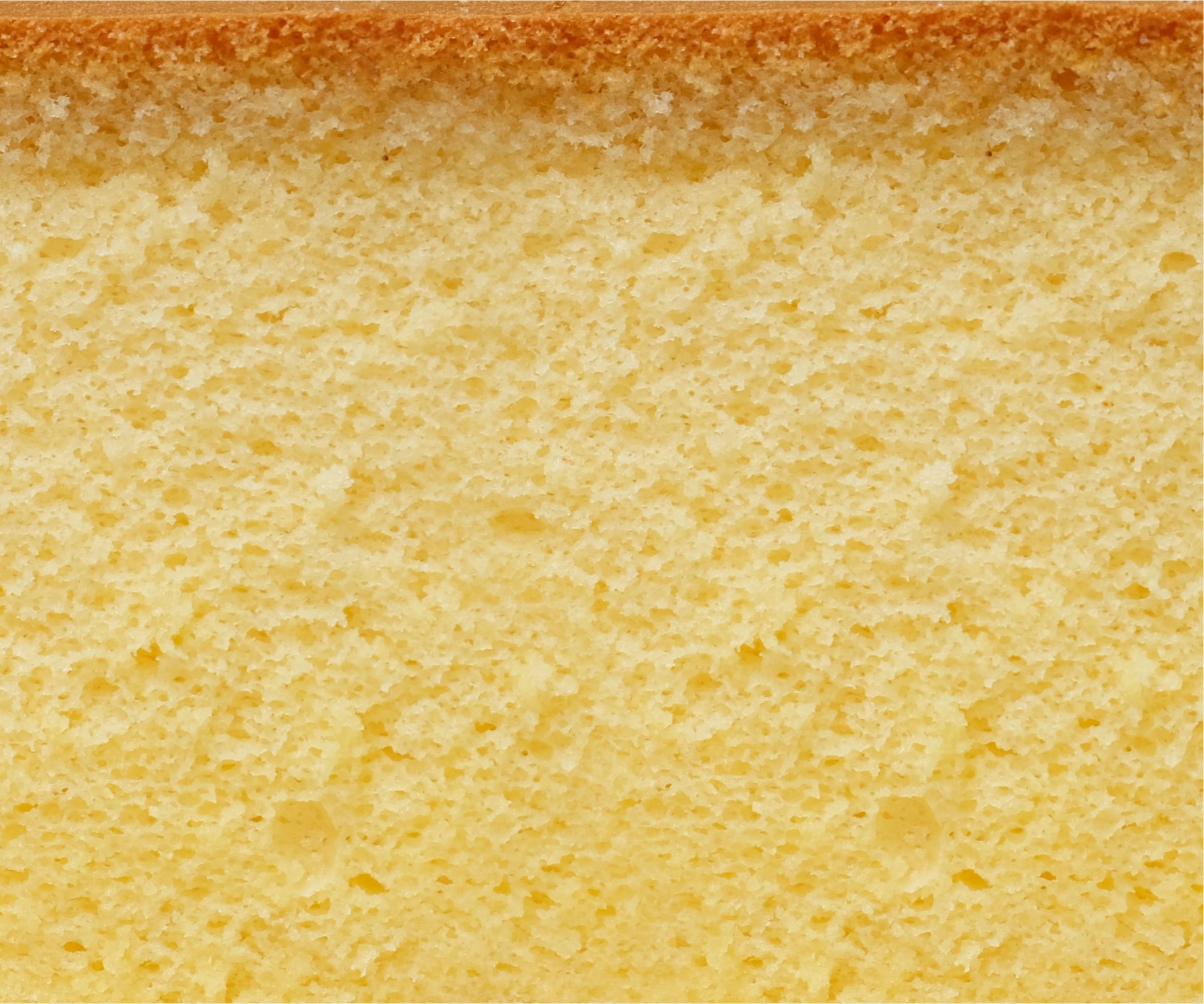 Japanese Soufflé Cheesecakes - The Essential