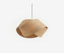 Nut Pendant Light - The Essential 