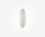 Nimbus Pear Pendant - The Essential 