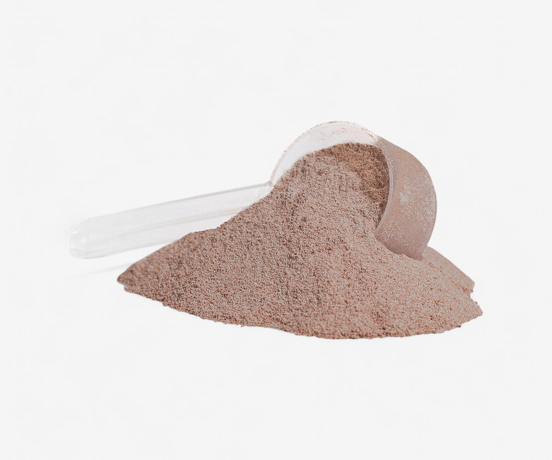 Chocolate Whey Protein Isolate