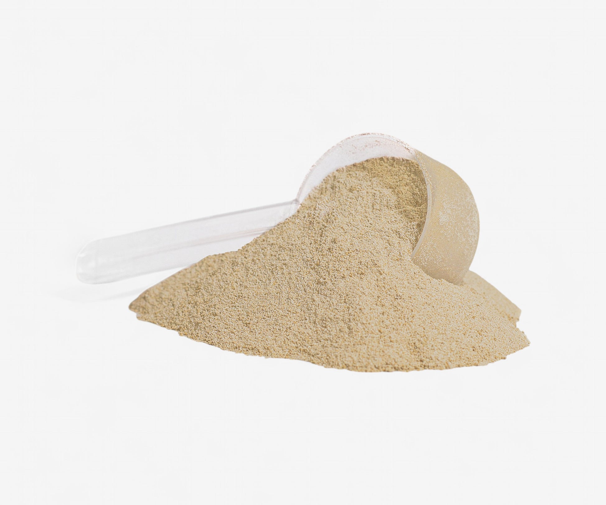 Vanilla Plant Protein - The Essential 