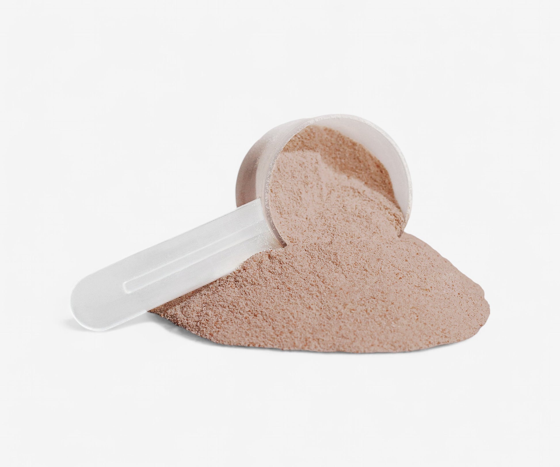 Chocolate Plant Protein - The Essential 