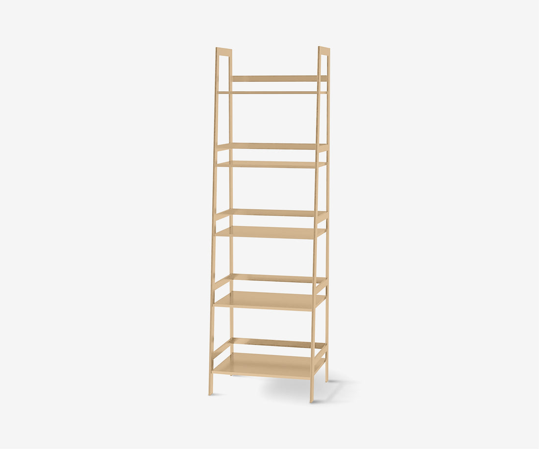 Ladder Bookshelf