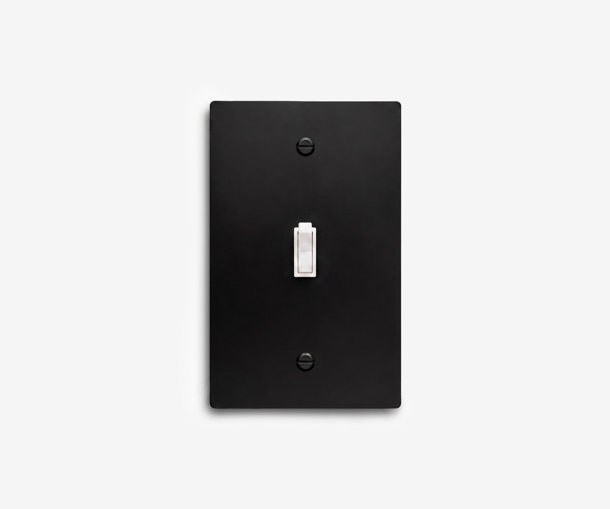 Stainless Steel Switch Plate - 1 Gang