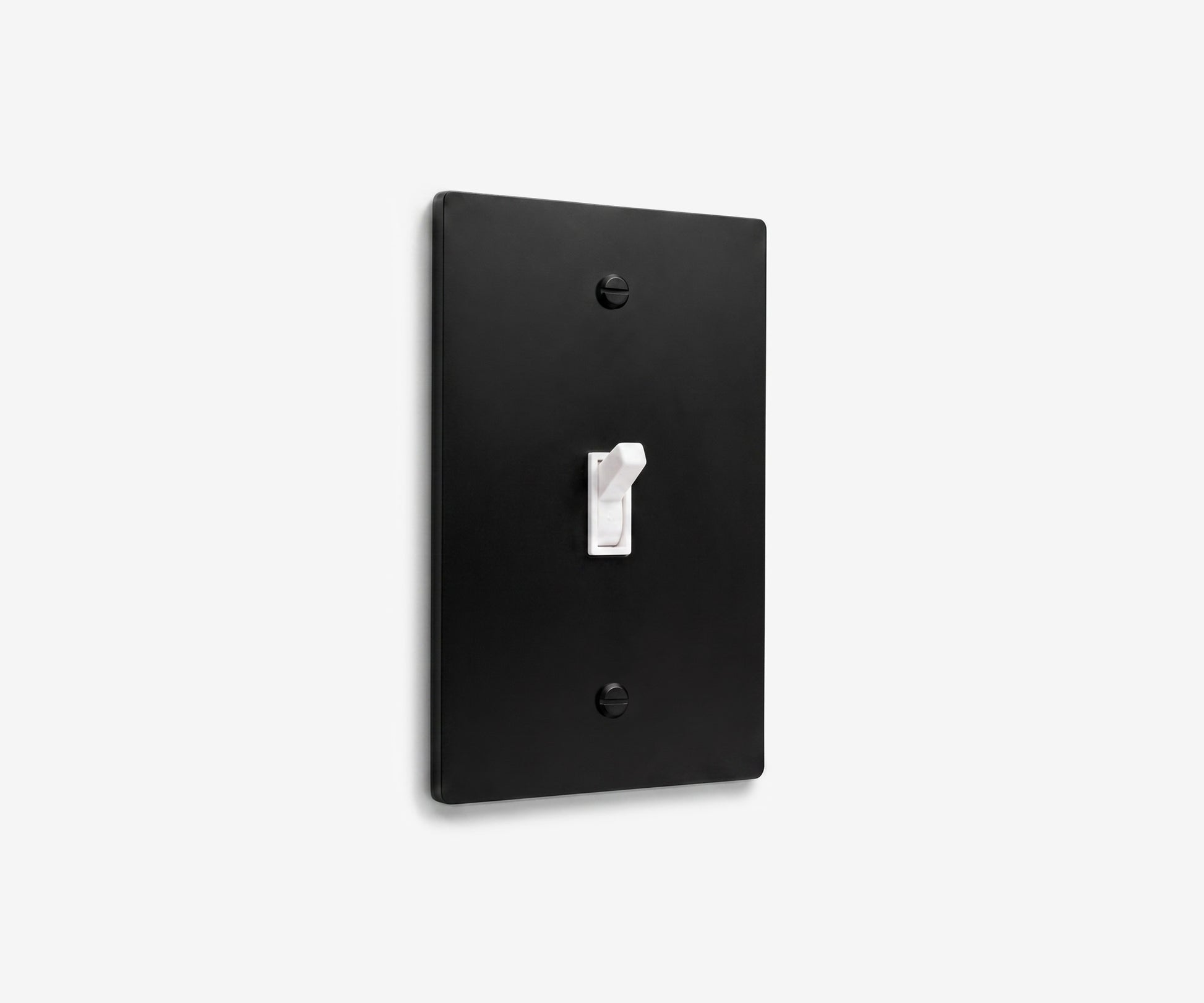 Stainless Steel Switch Plate - 1 Gang