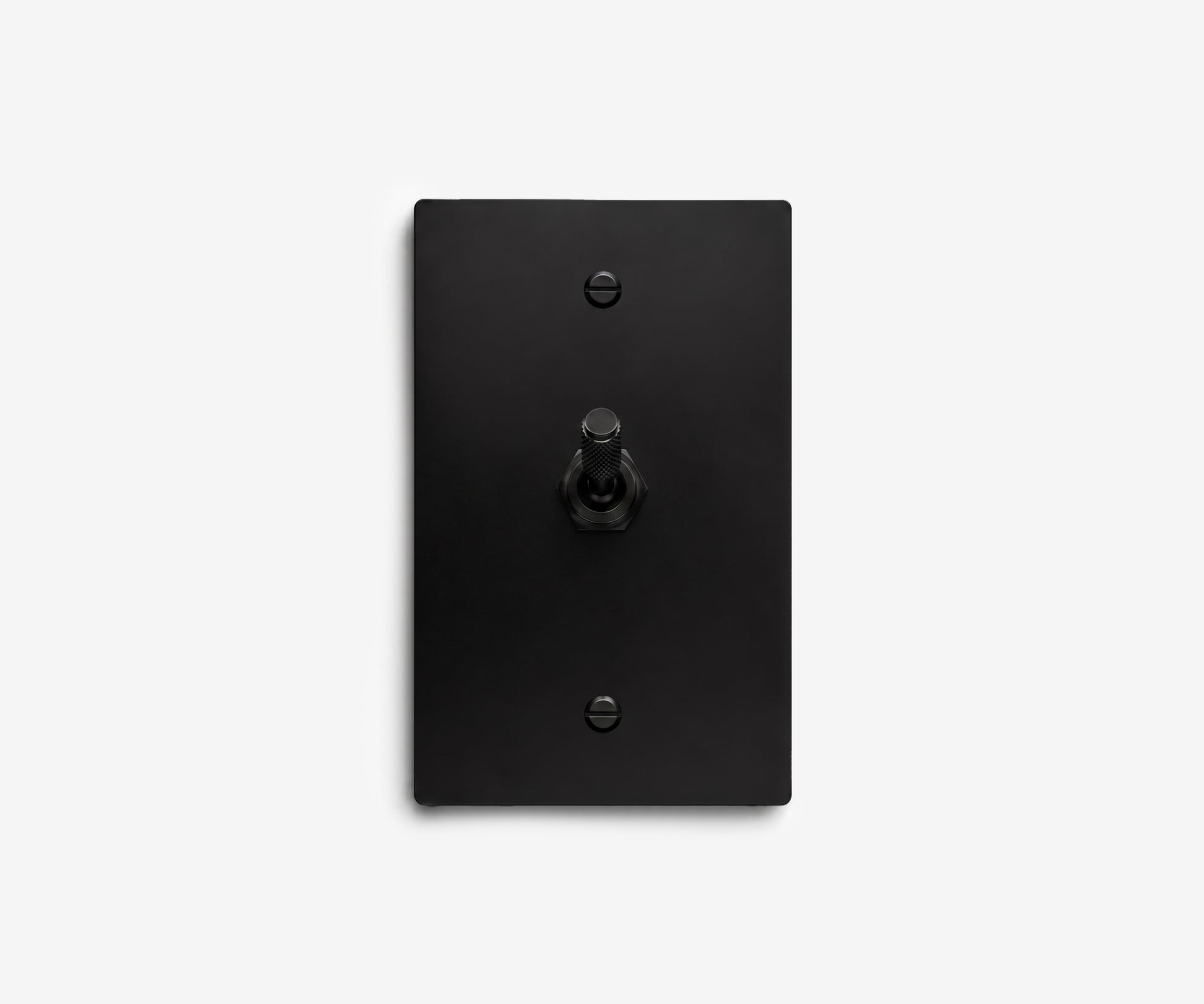Stainless Steel Switch Plate - 1 Gang