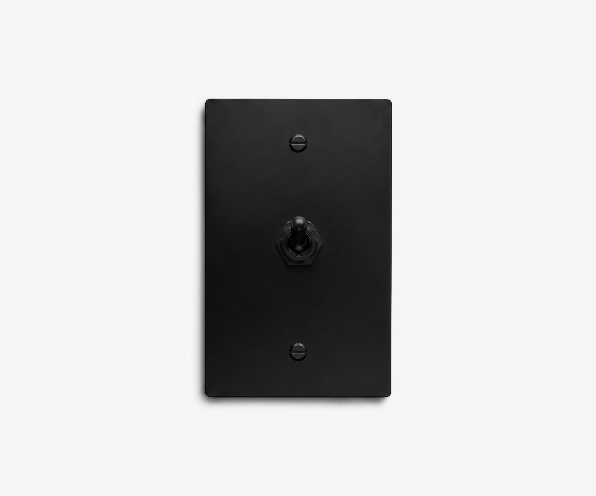 Stainless Steel Switch Plate - 1 Gang