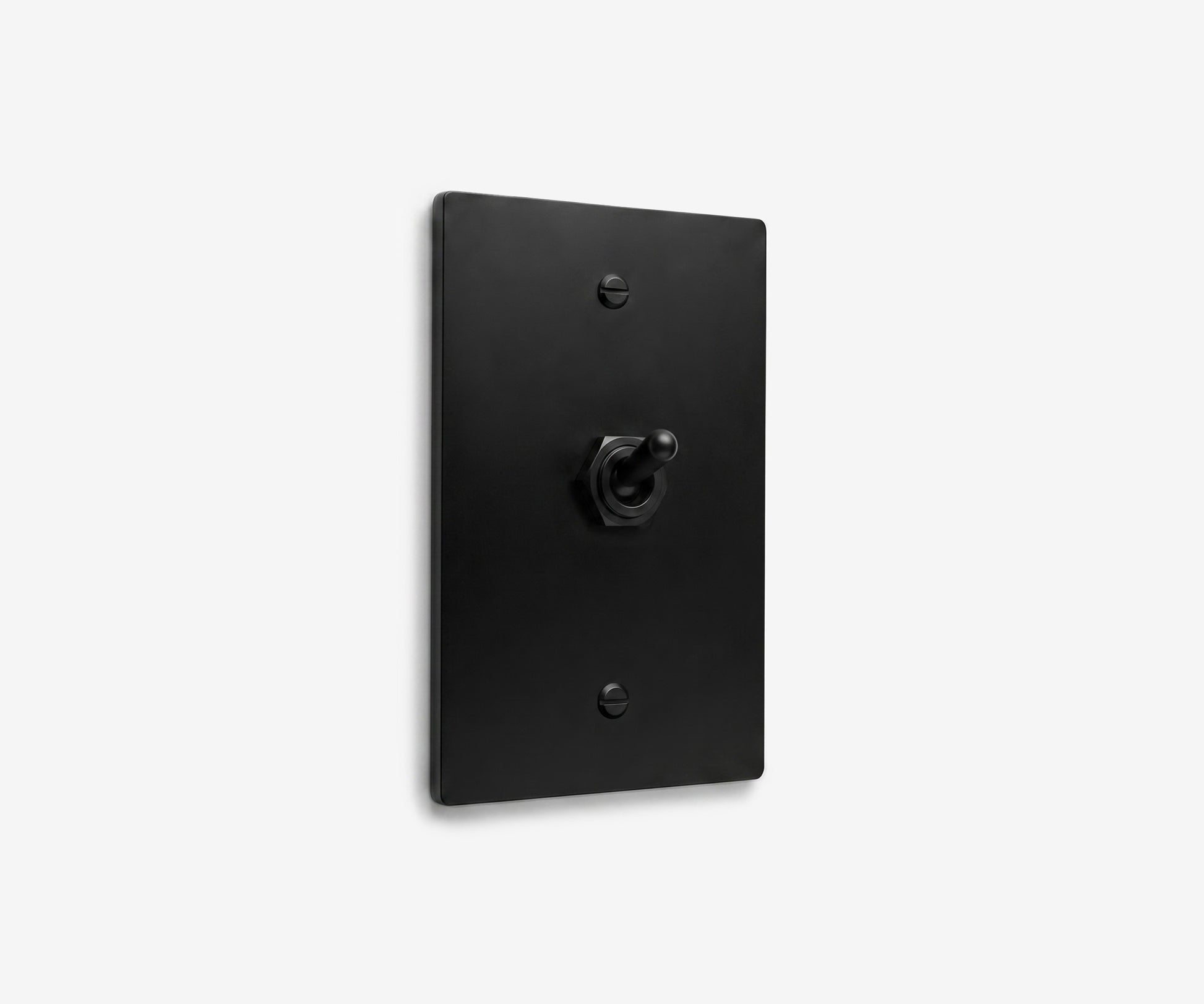 Stainless Steel Switch Plate - 1 Gang