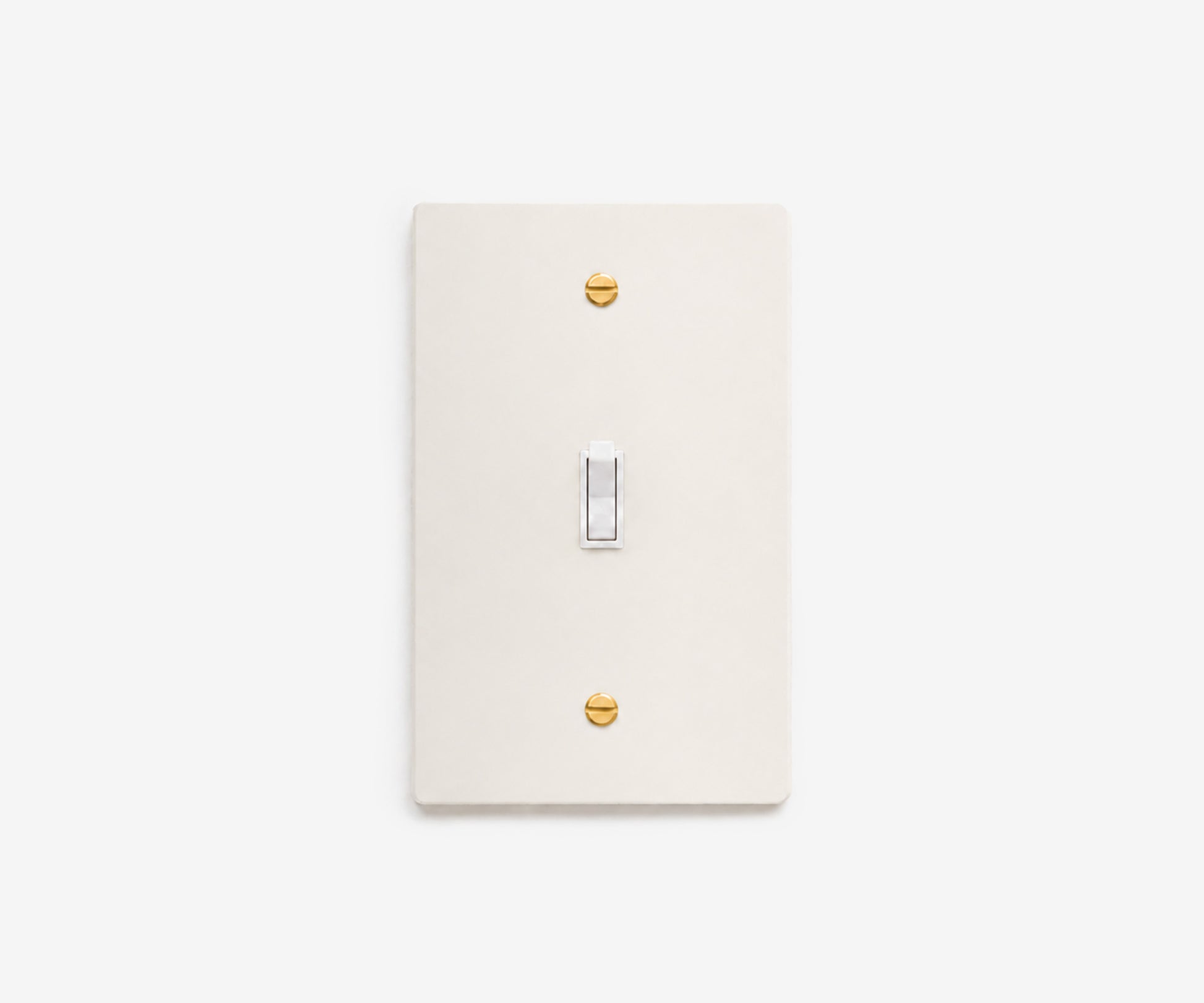Stainless Steel Switch Plate - 1 Gang