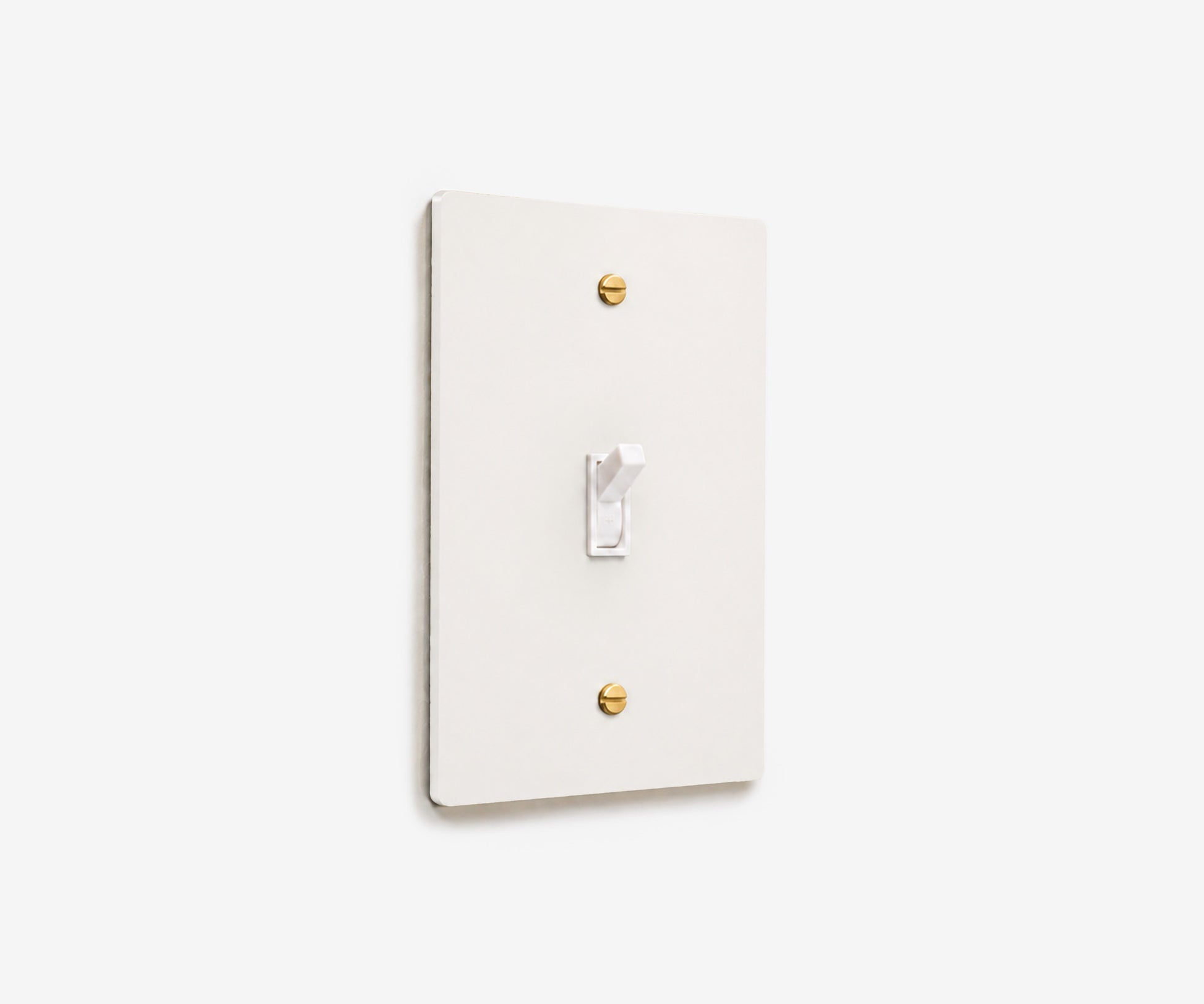 Stainless Steel Switch Plate - 1 Gang