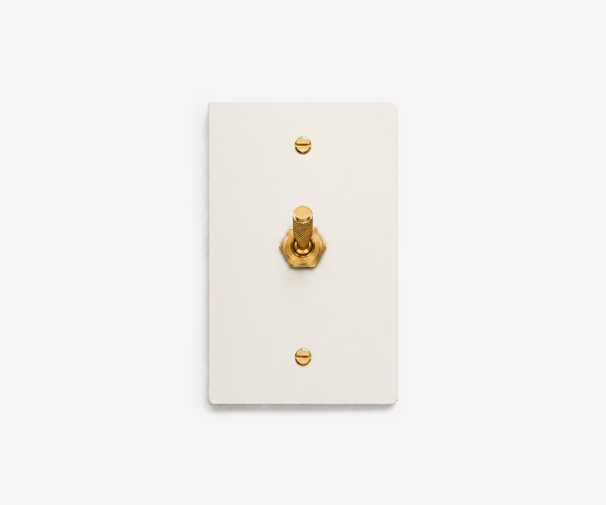 Stainless Steel Switch Plate - 1 Gang