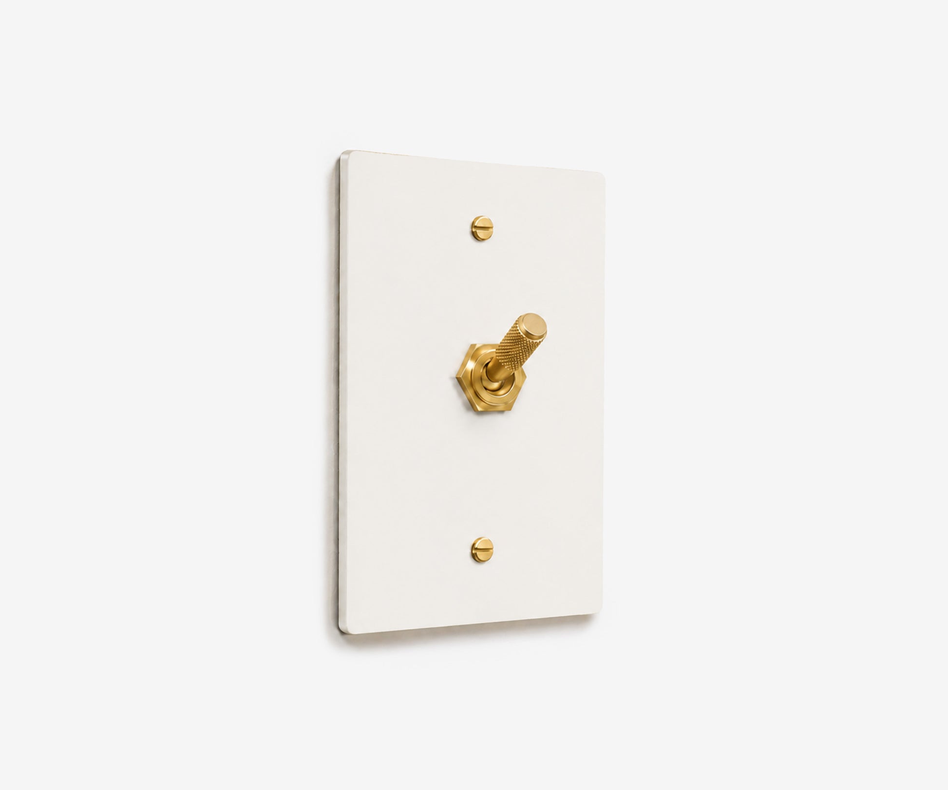 Stainless Steel Switch Plate - 1 Gang