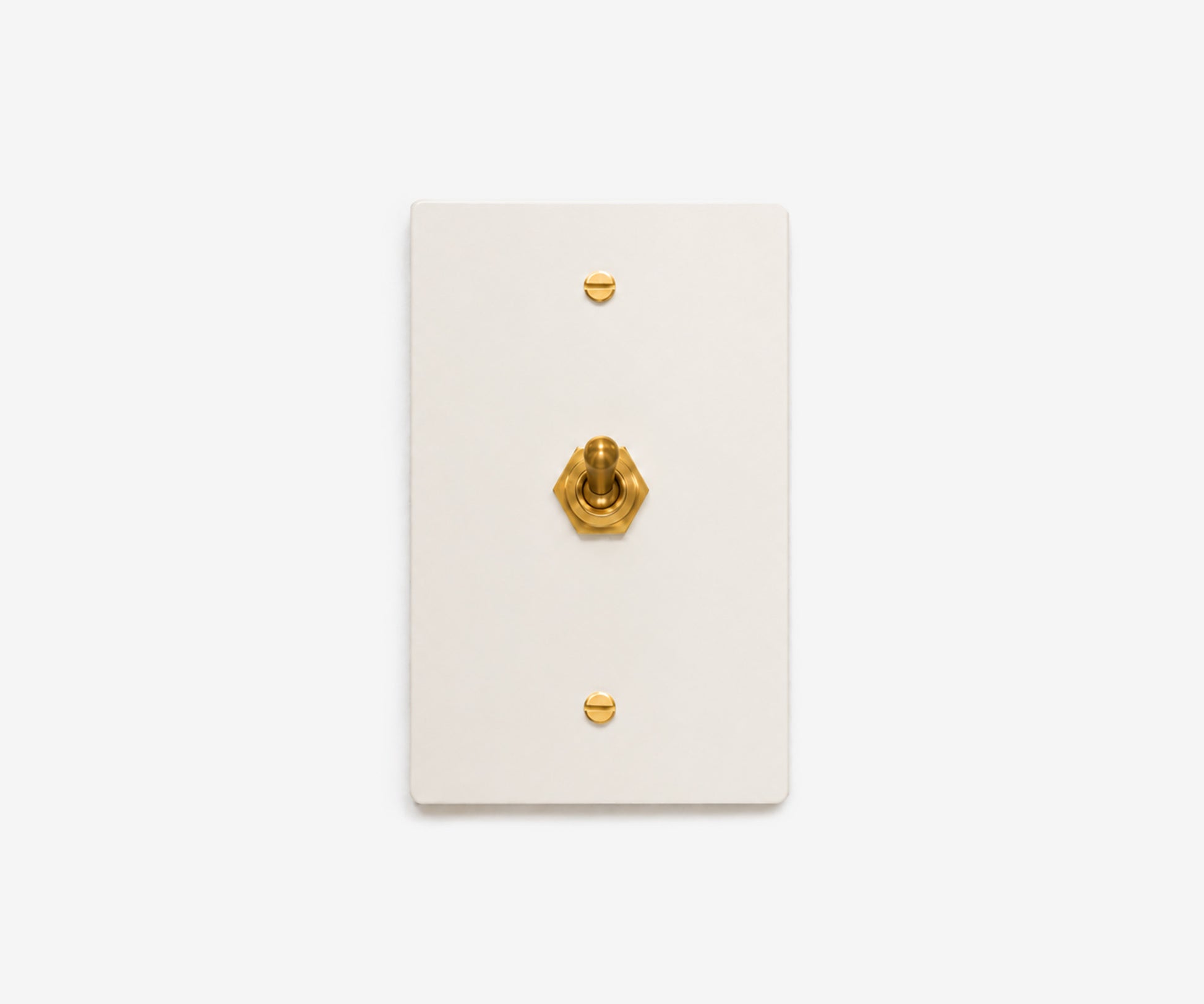 Stainless Steel Switch Plate - 1 Gang