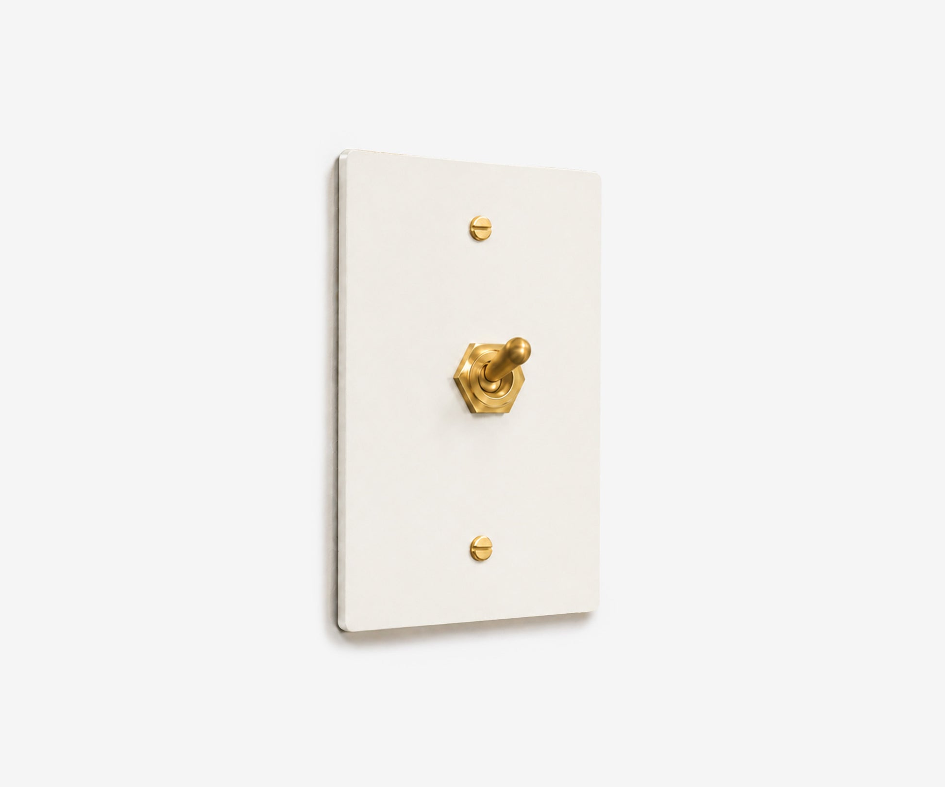 Stainless Steel Switch Plate - 1 Gang