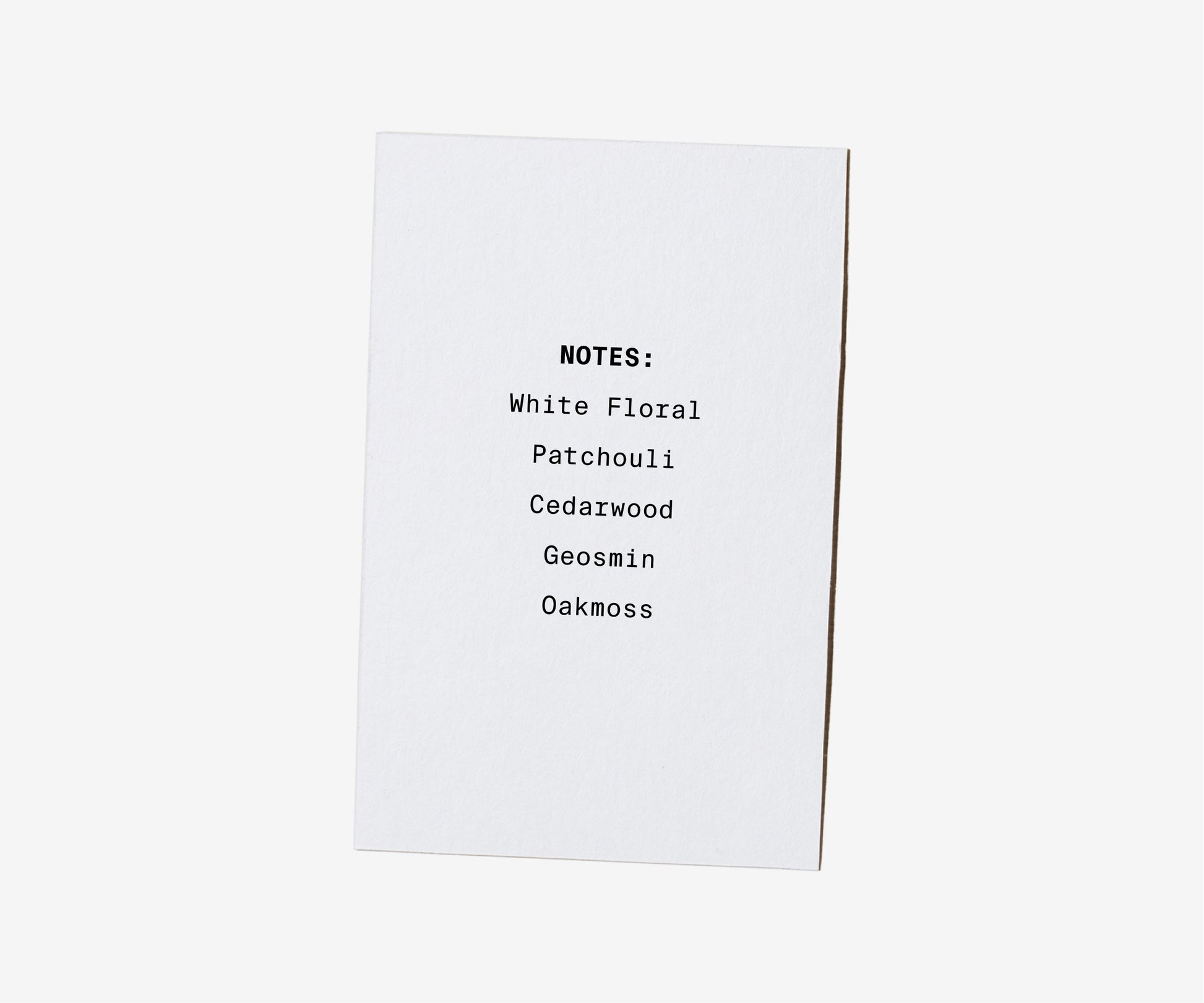 Petrichor Soy Candle - The Essential 