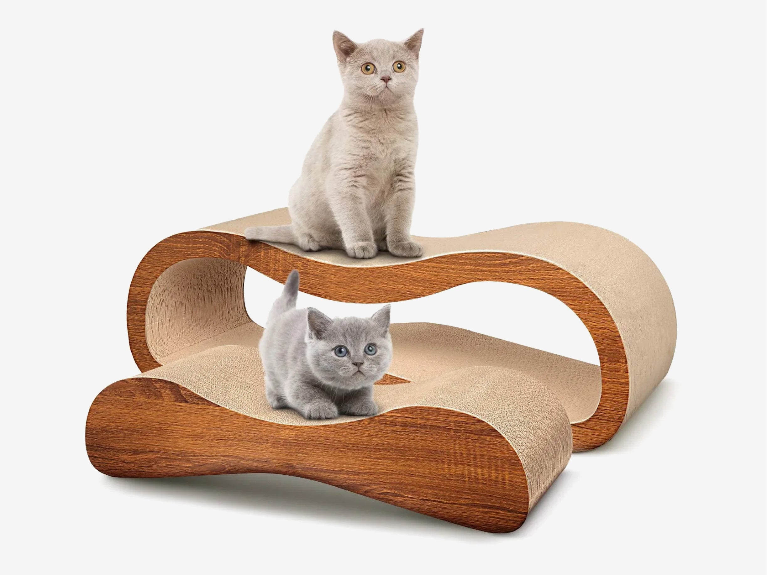 Scratch Pet Lounger - The Essential 