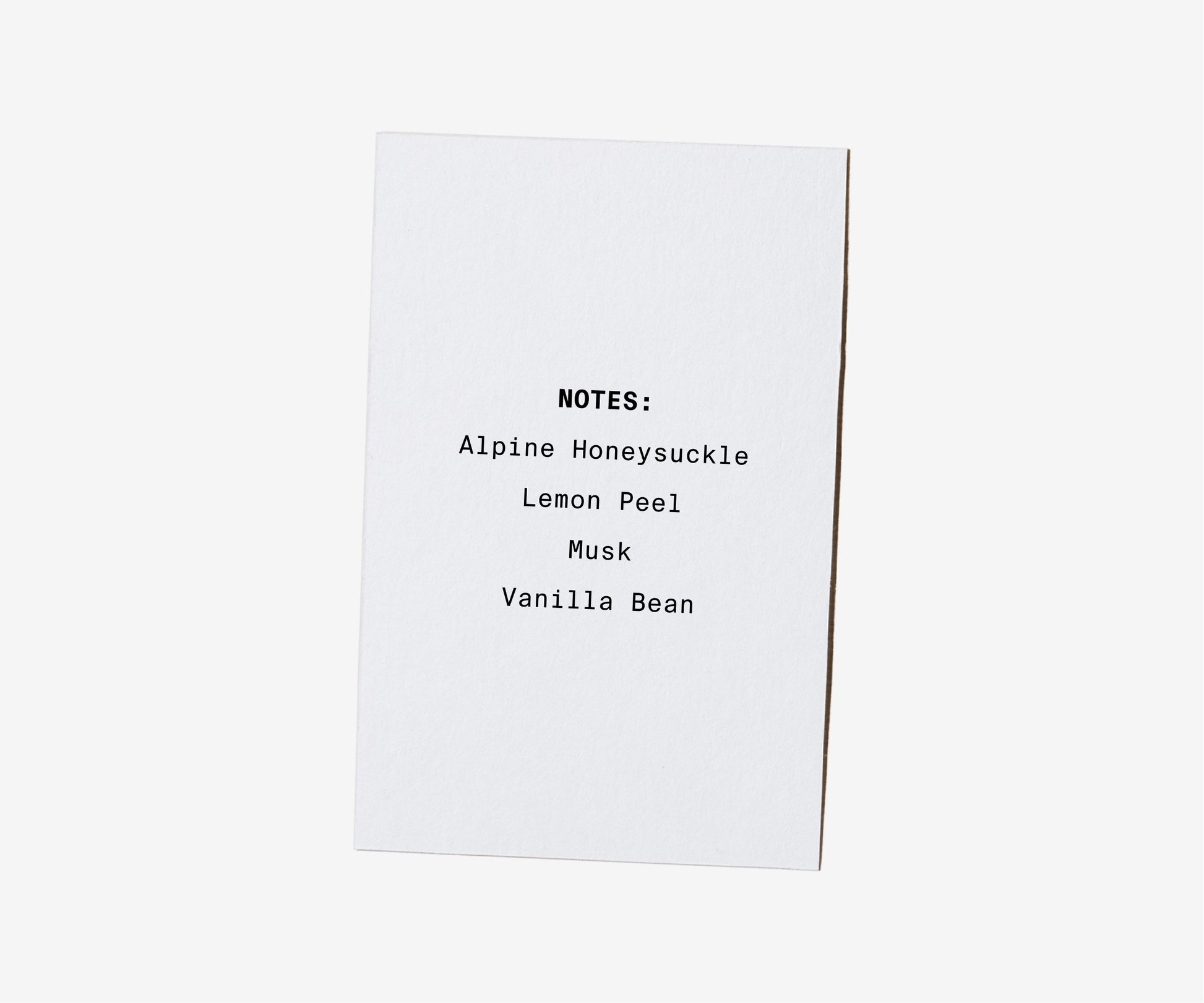 Vanilla & Cashmere Soy Candle - The Essential 