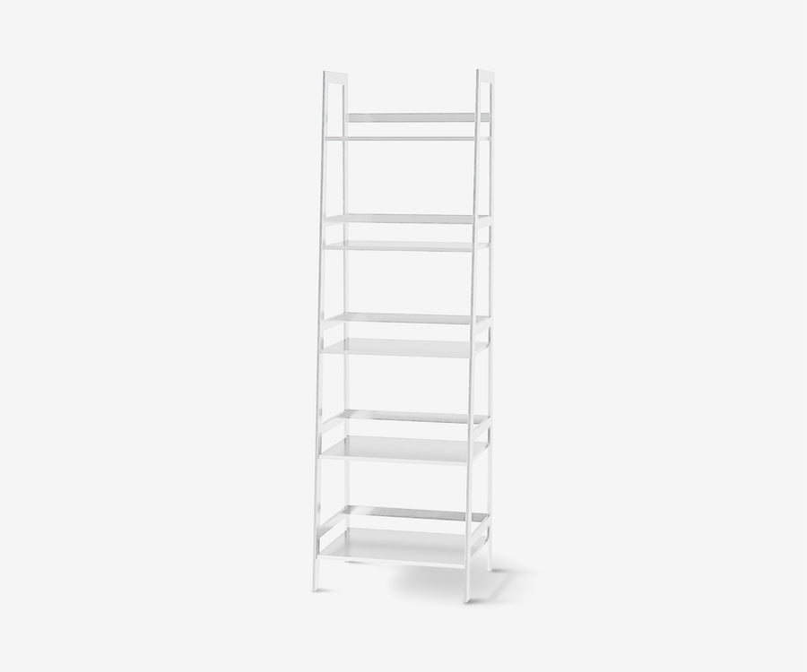 Ladder Bookshelf