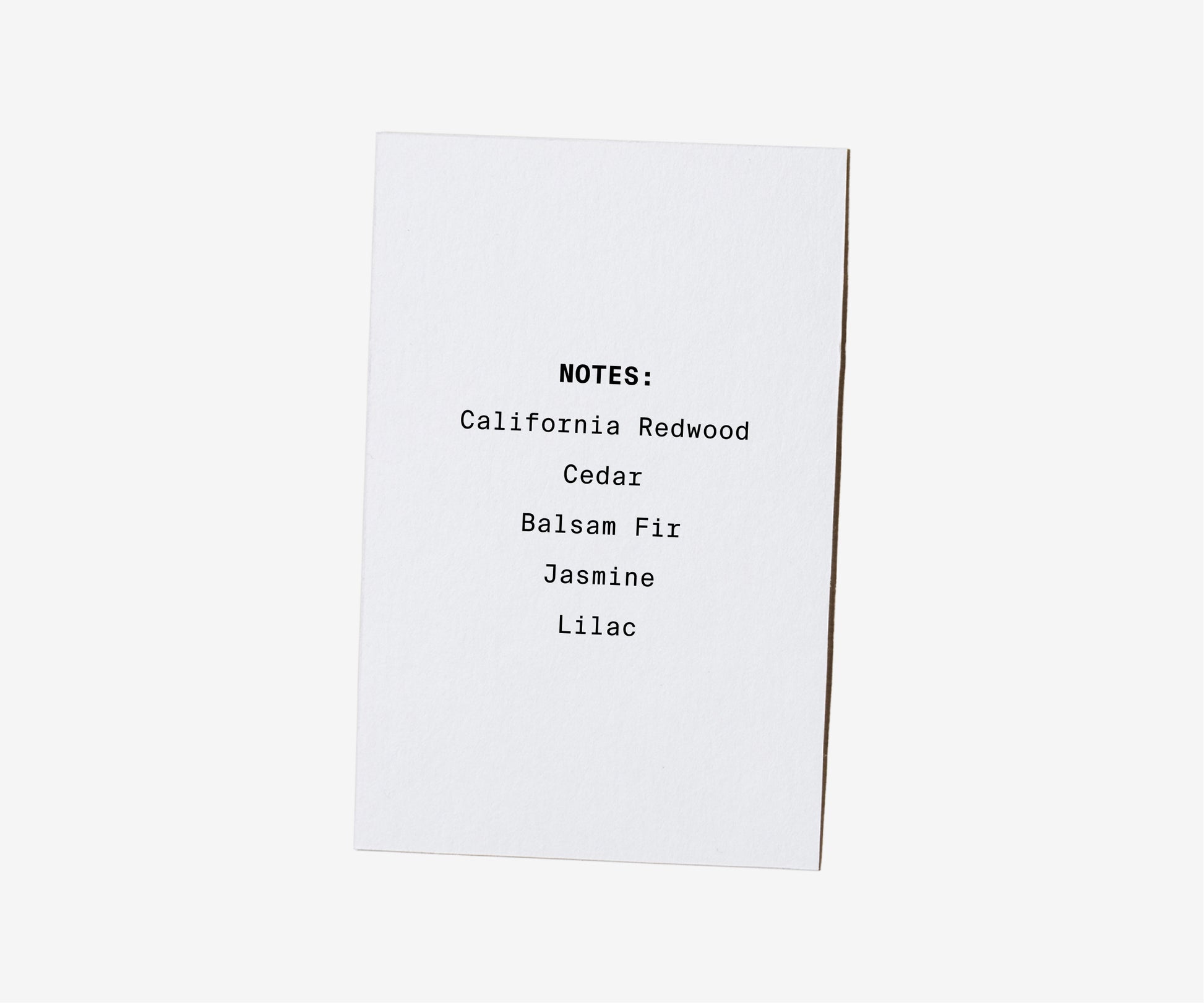 Coastal Redwood Soy Candle - The Essential 