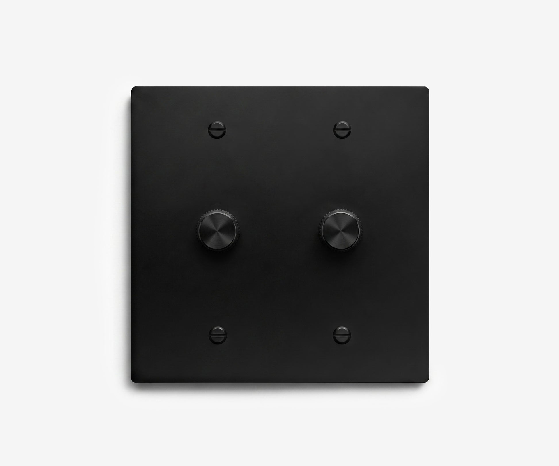 Stainless Steel Switch Plate - 2 Gang