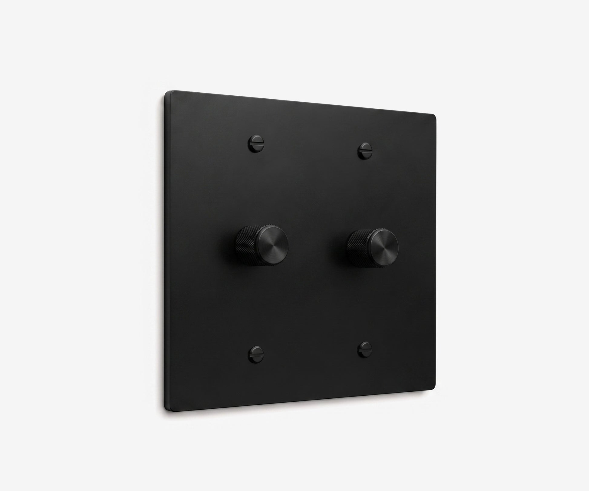 Stainless Steel Switch Plate - 2 Gang