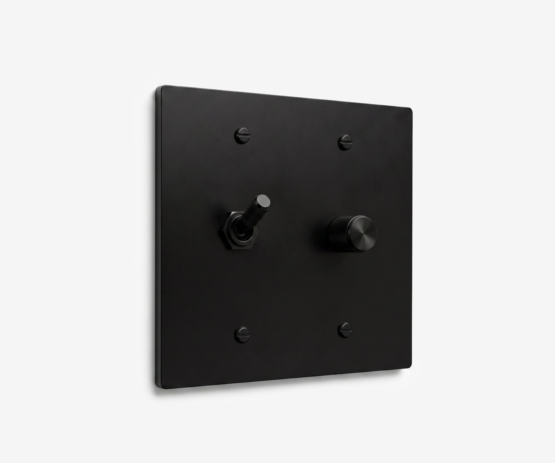 Stainless Steel Switch Plate - 2 Gang