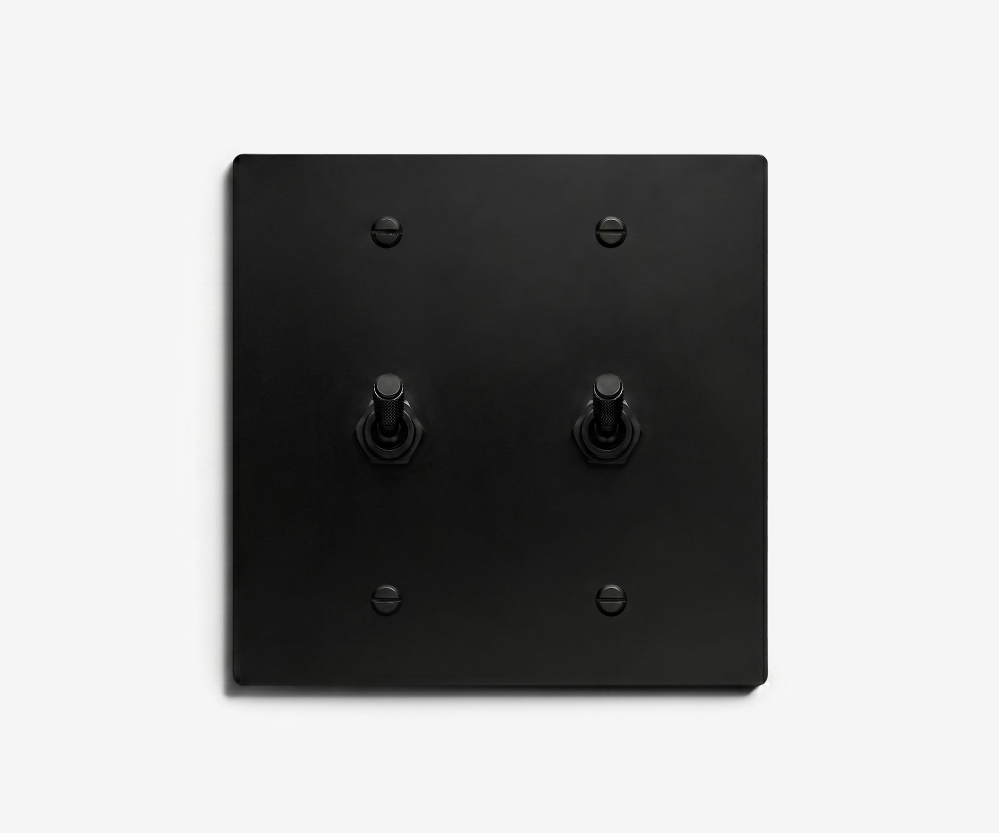 Stainless Steel Switch Plate - 2 Gang
