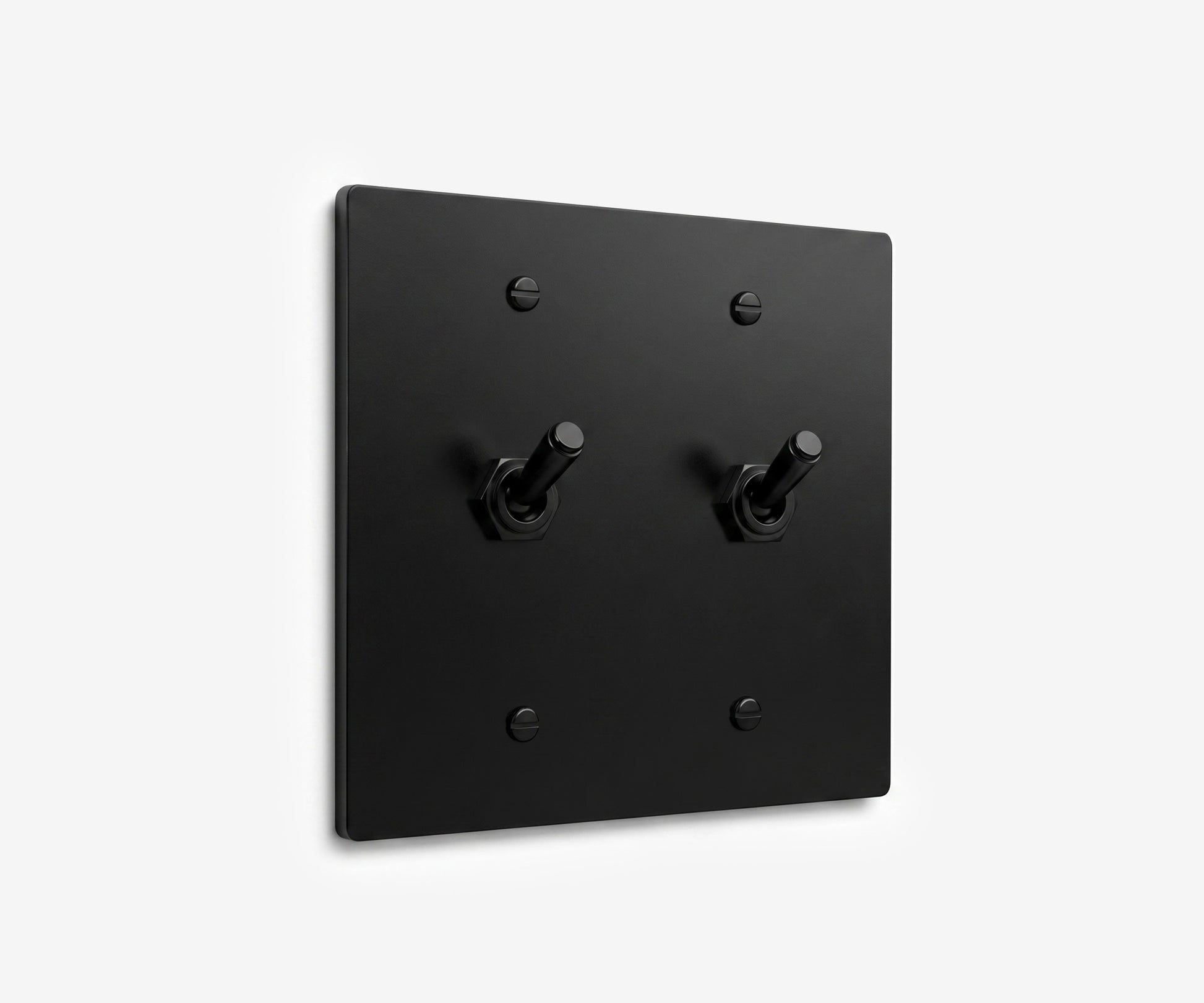 Stainless Steel Switch Plate - 2 Gang