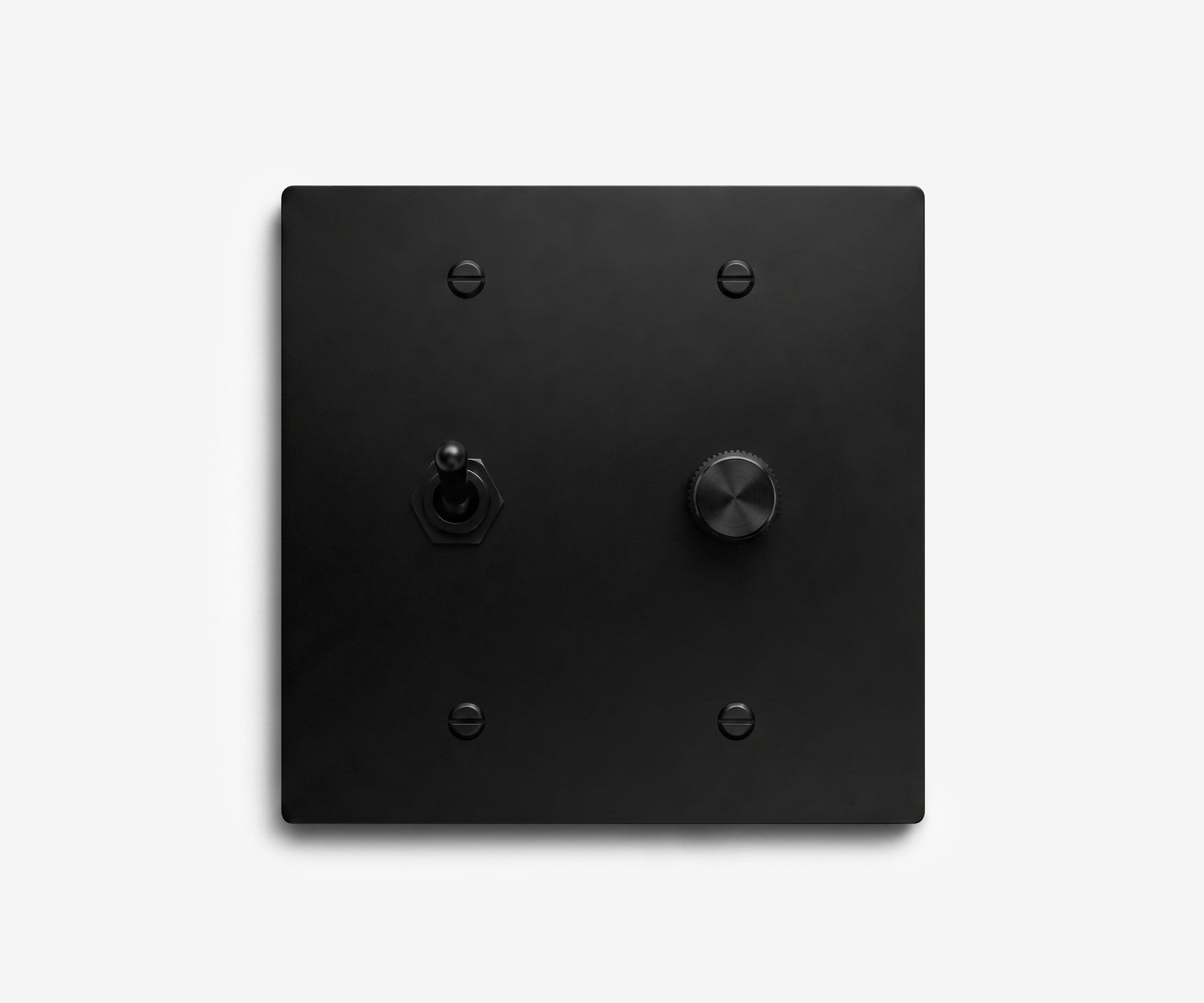 Stainless Steel Switch Plate - 2 Gang