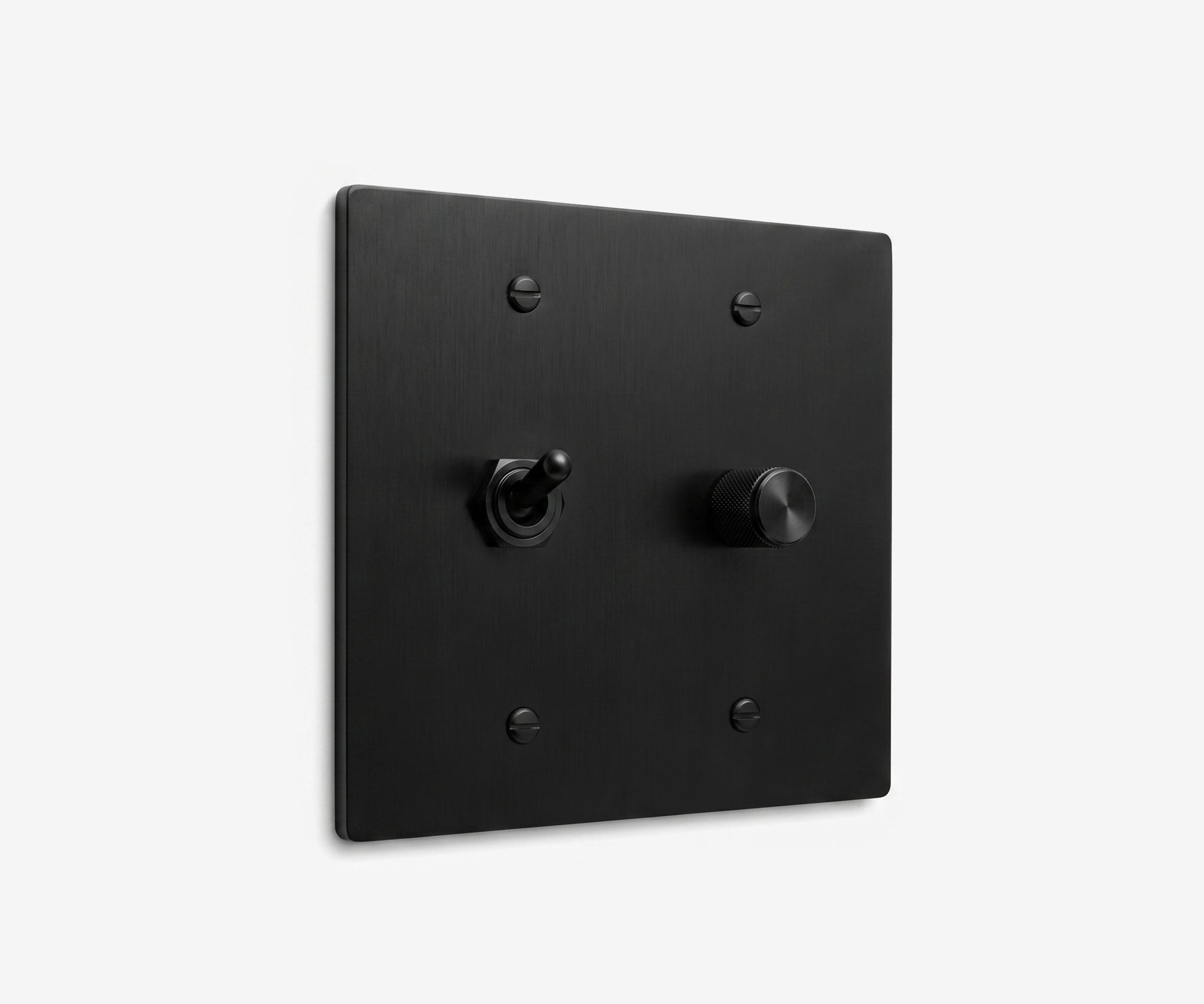 Stainless Steel Switch Plate - 2 Gang