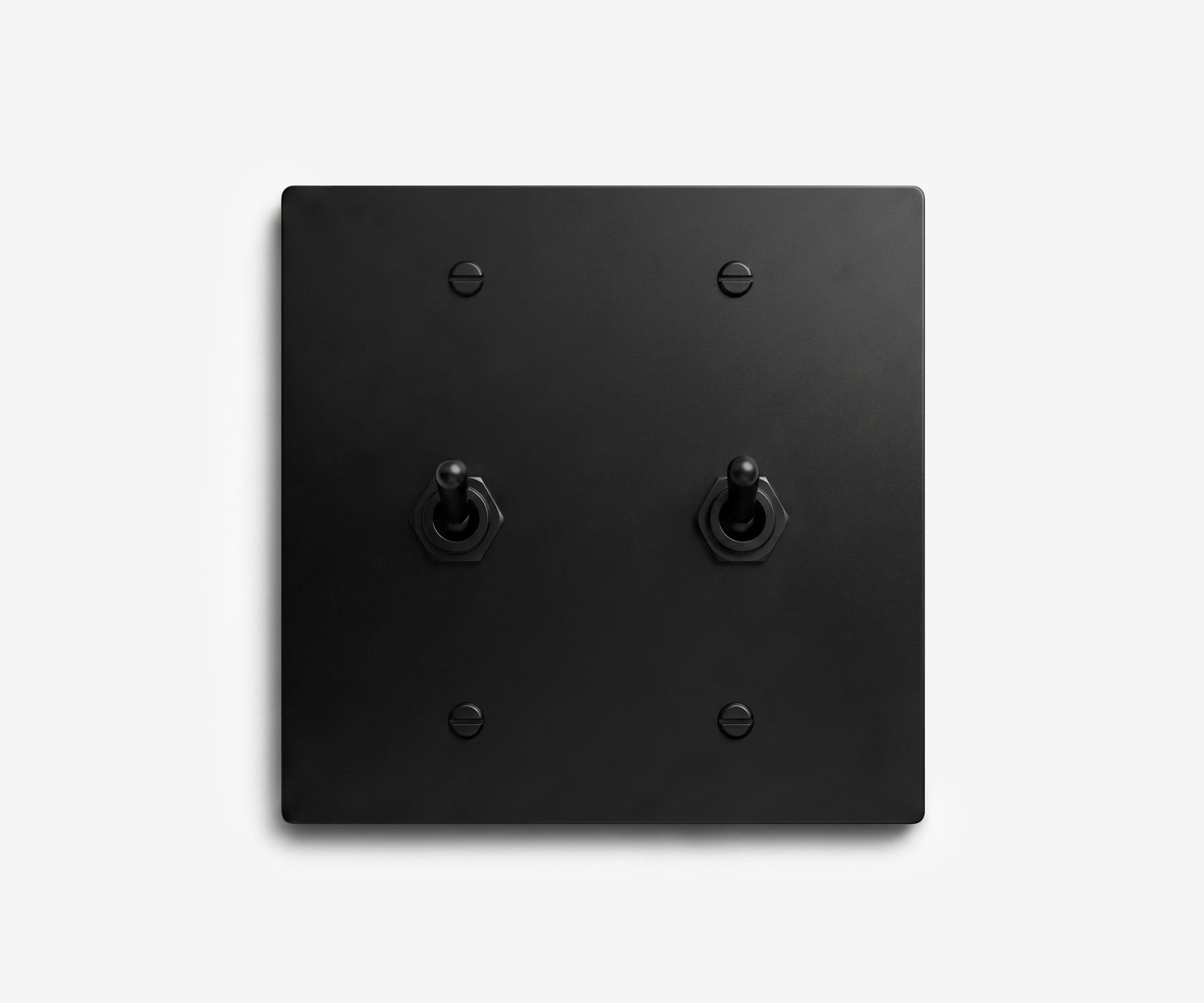 Stainless Steel Switch Plate - 2 Gang