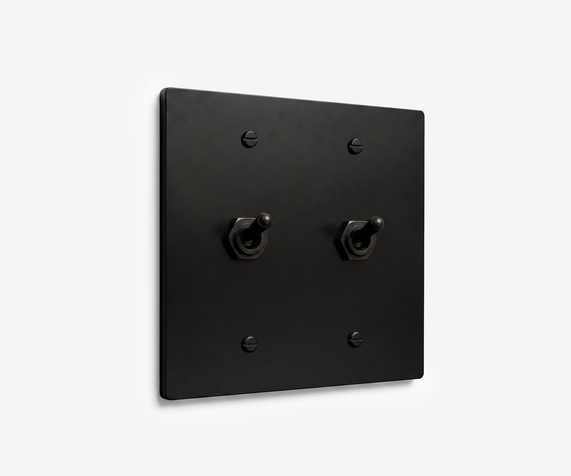 Stainless Steel Switch Plate - 2 Gang