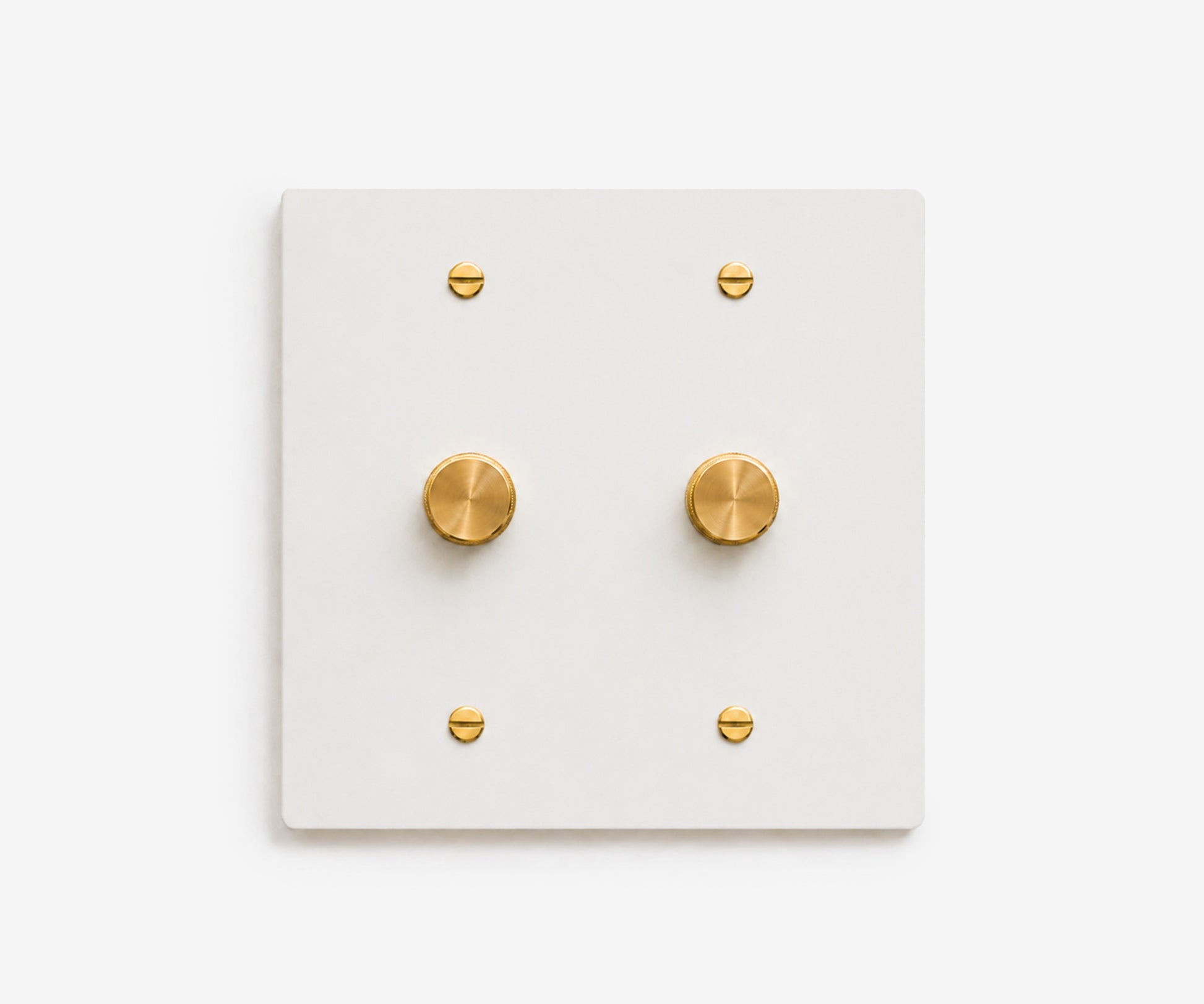 Stainless Steel Switch Plate - 2 Gang
