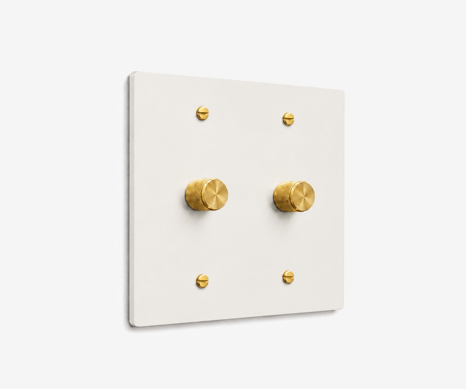 Stainless Steel Switch Plate - 2 Gang