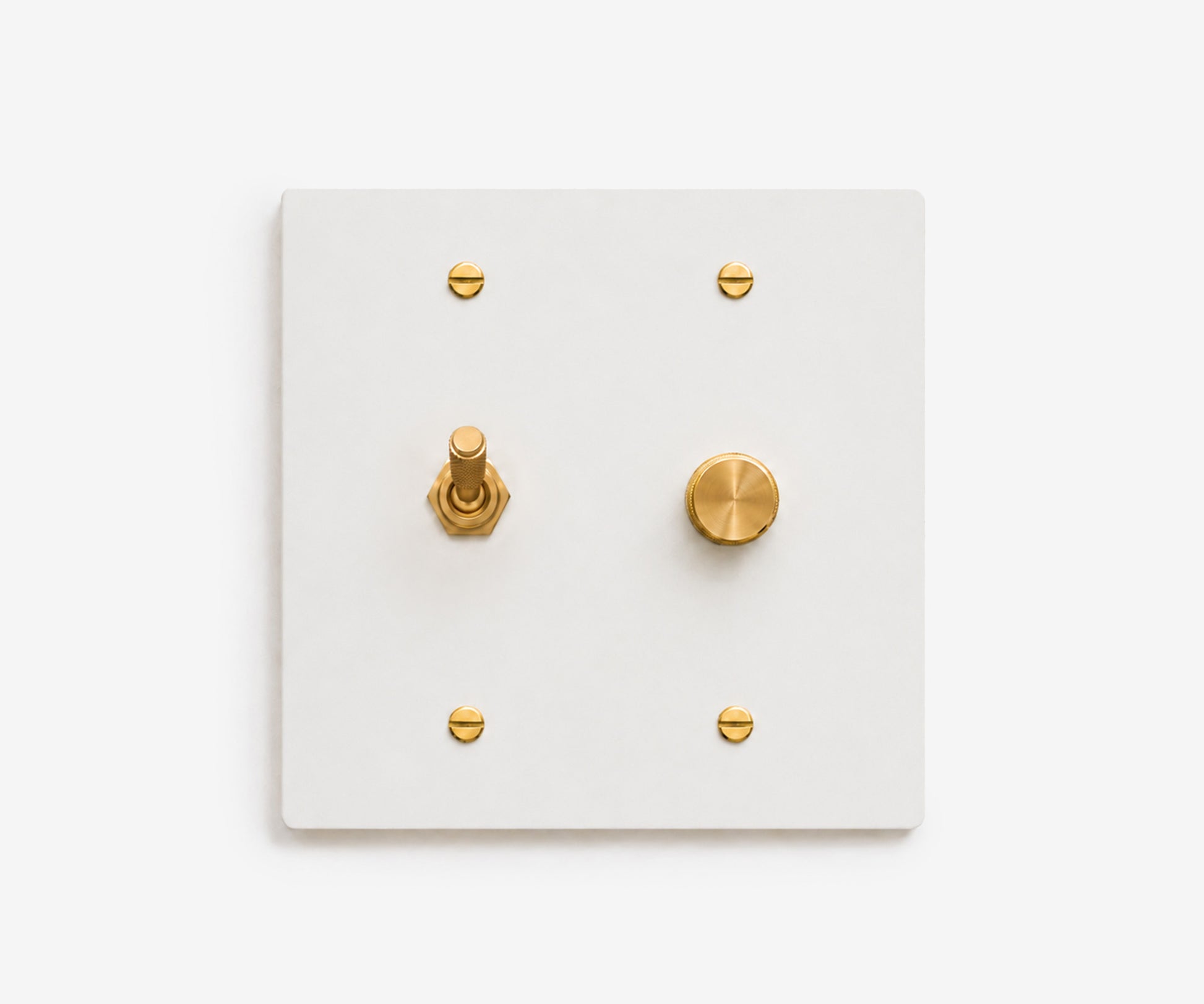 Stainless Steel Switch Plate - 2 Gang