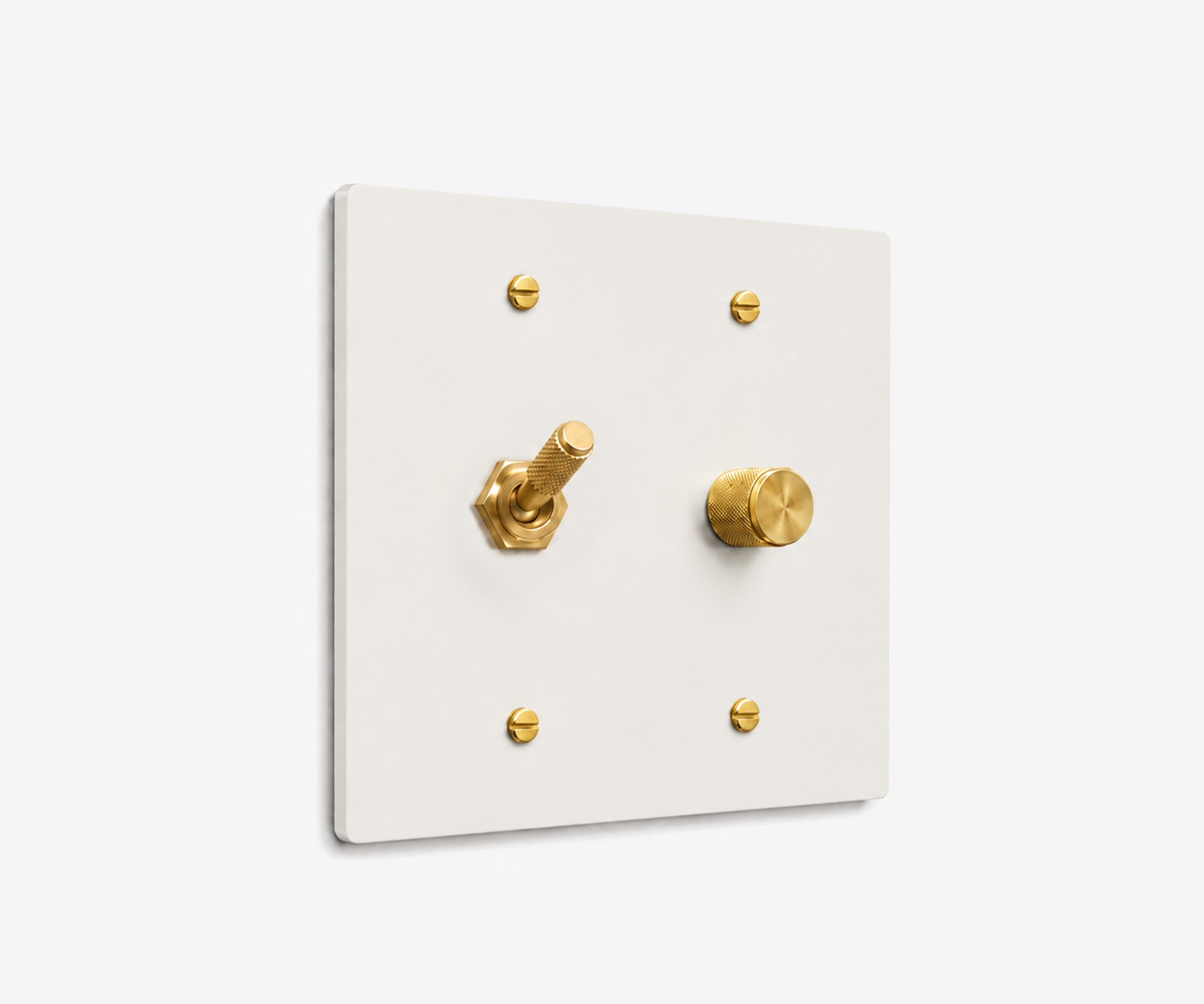 Stainless Steel Switch Plate - 2 Gang