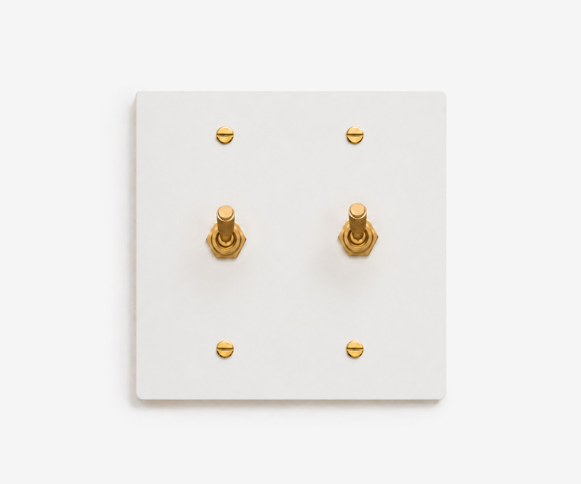 Stainless Steel Switch Plate - 2 Gang