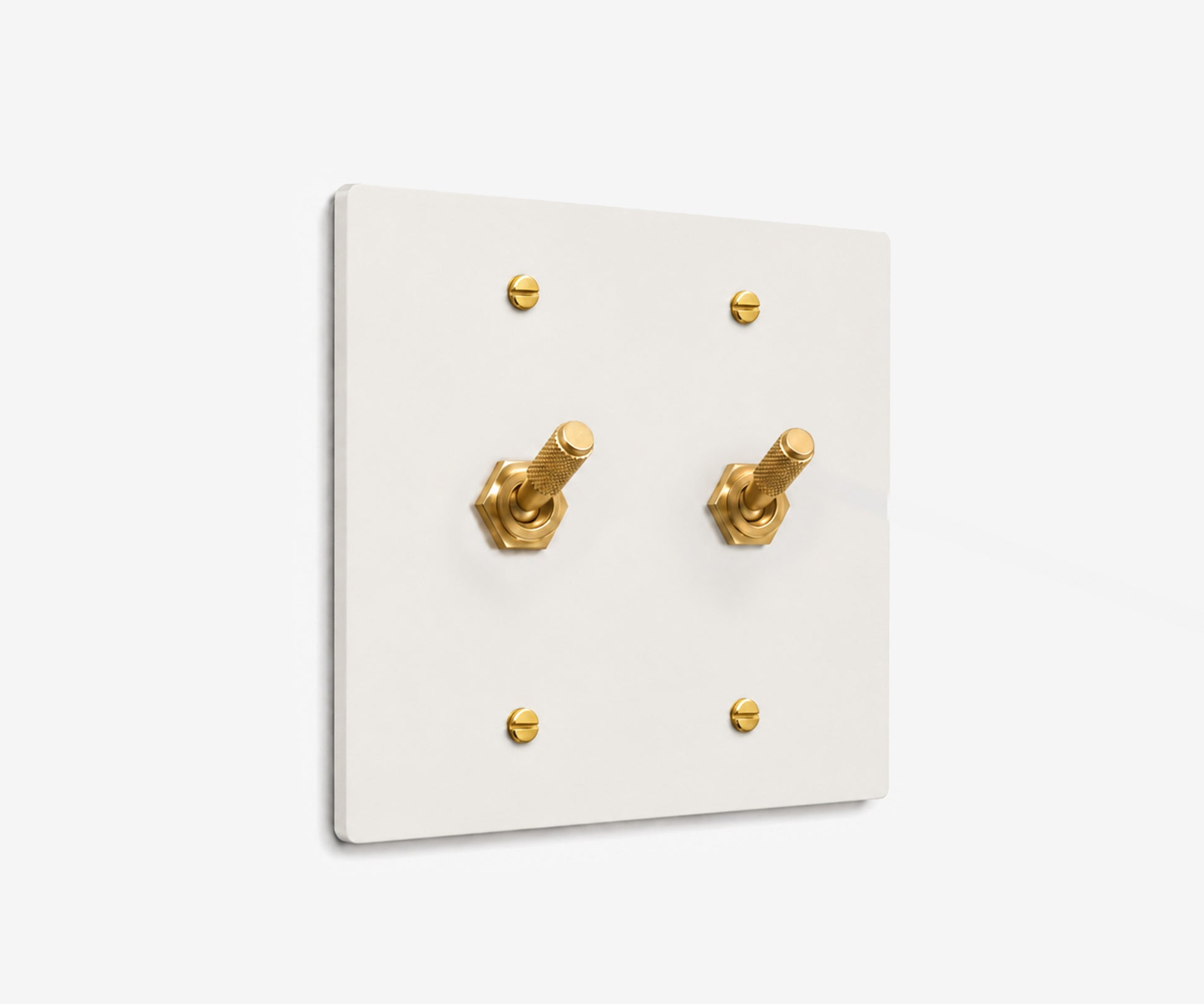 Stainless Steel Switch Plate - 2 Gang