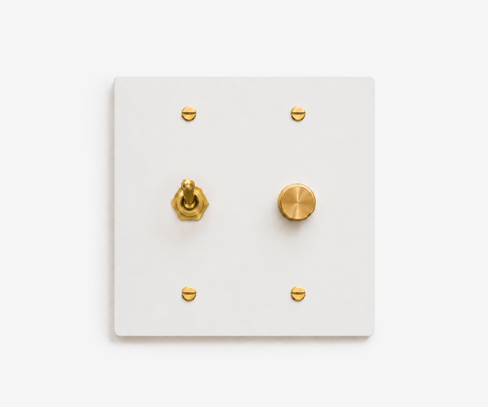 Stainless Steel Switch Plate - 2 Gang