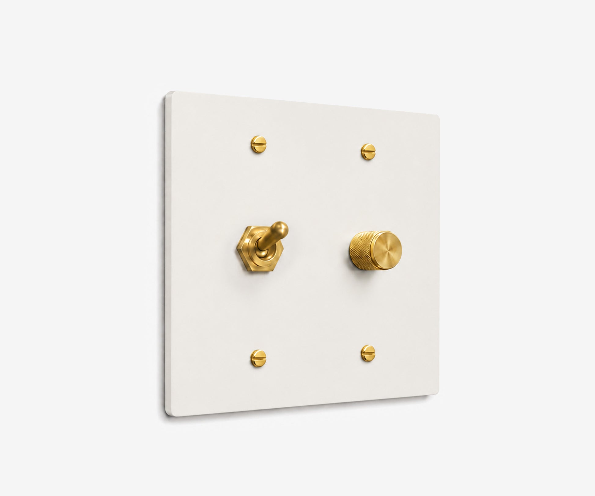 Stainless Steel Switch Plate - 2 Gang
