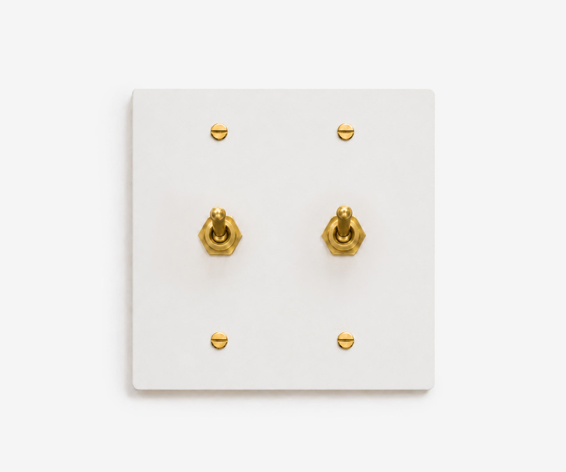 Stainless Steel Switch Plate - 2 Gang