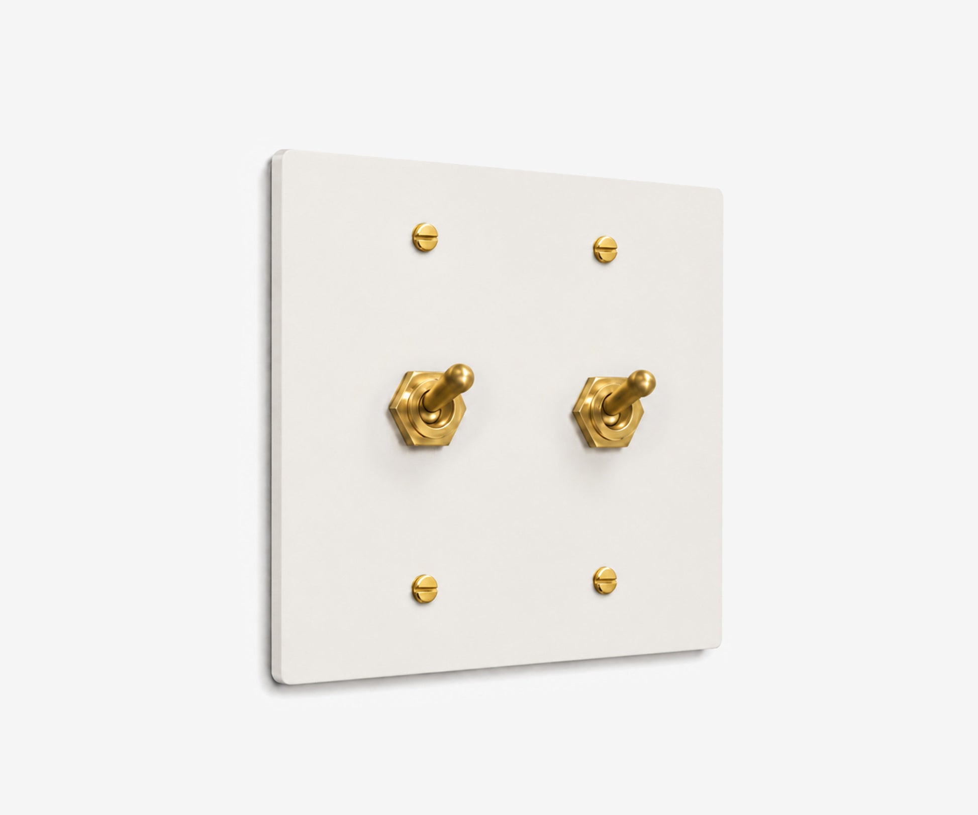 Stainless Steel Switch Plate - 2 Gang