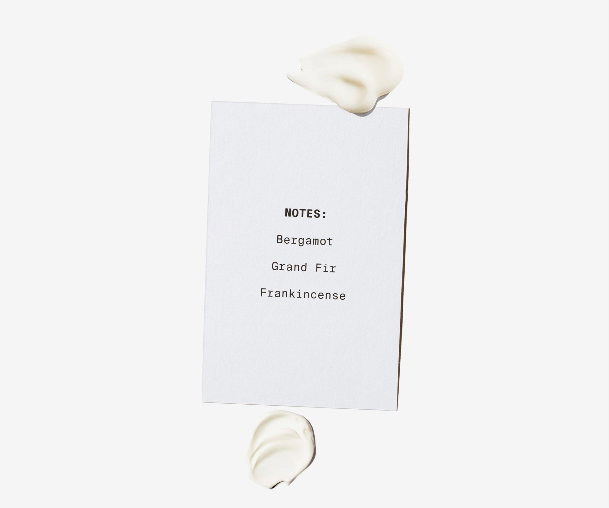 Conditioner - The Essential 