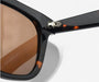 Acetate Sunglasses - The Essential 