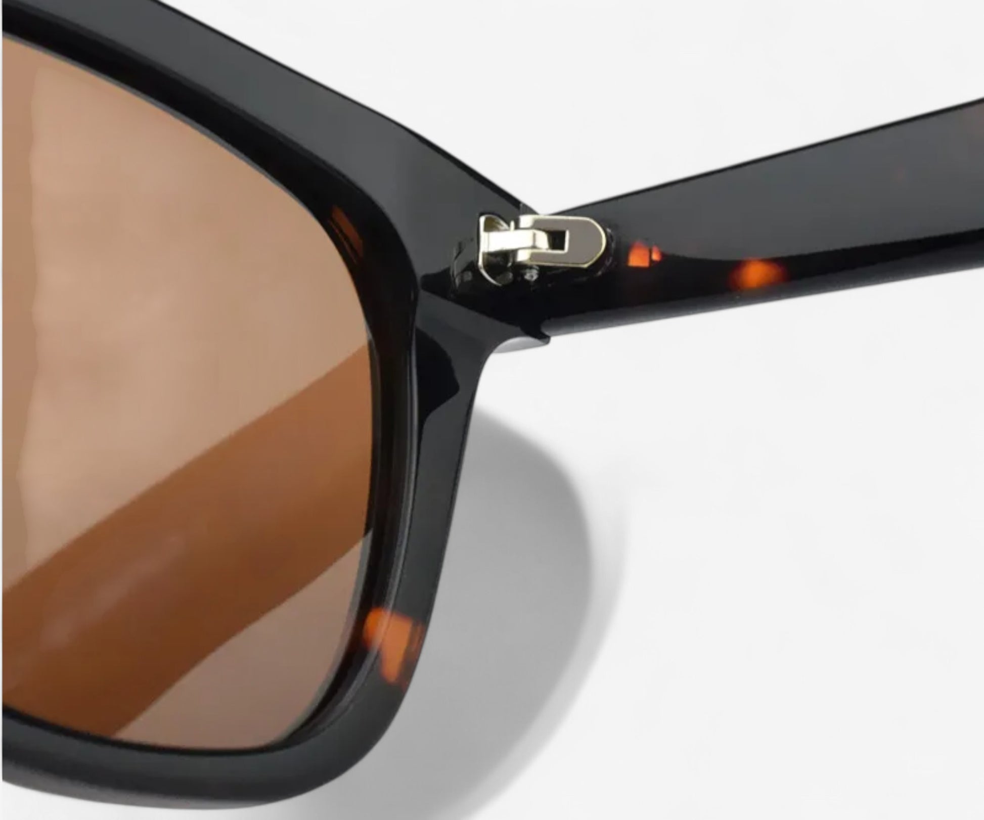 Acetate Sunglasses - The Essential 