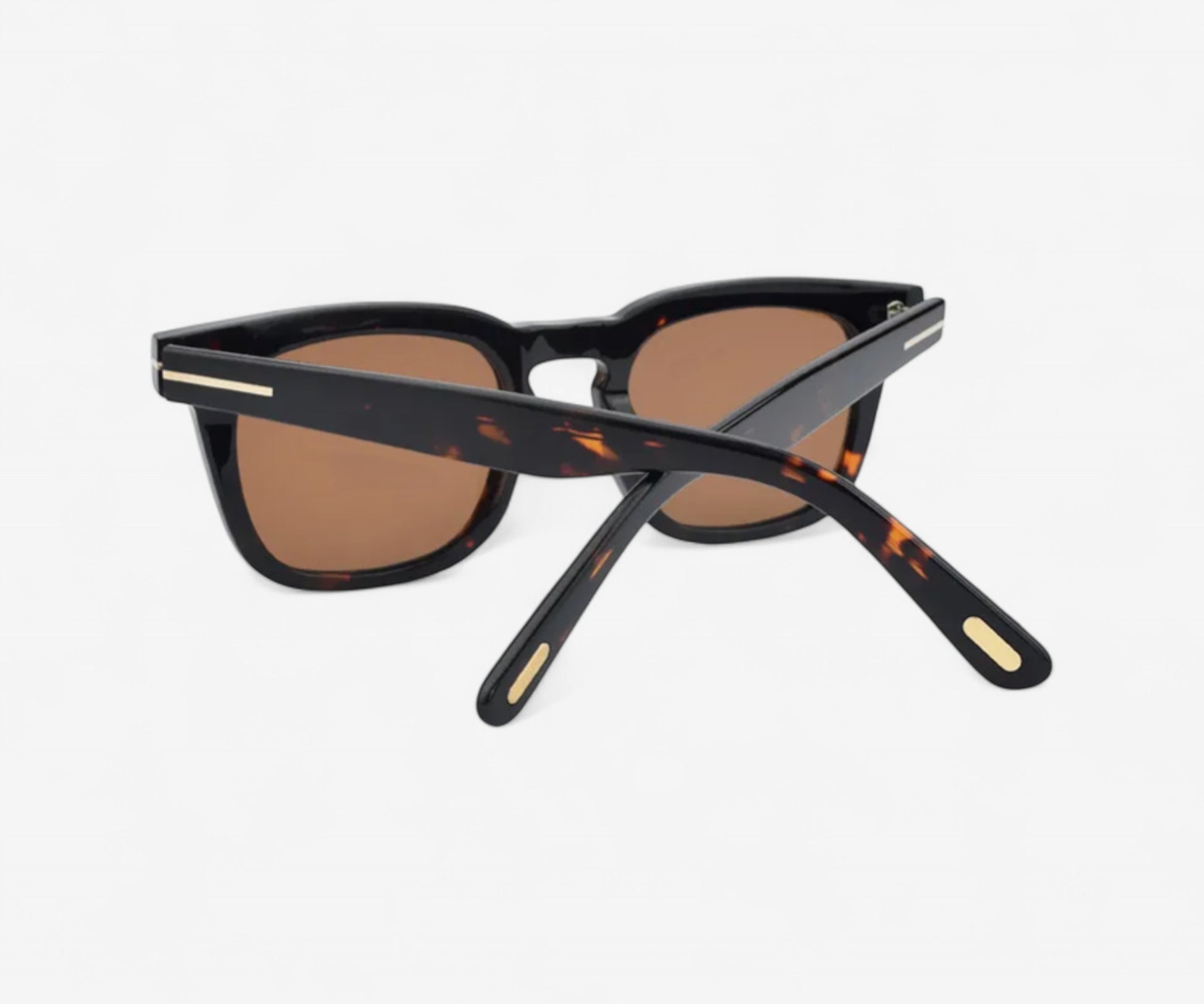 Acetate Sunglasses - The Essential 