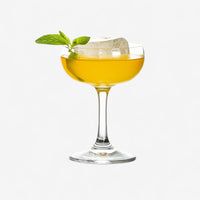 Coupe Glass Set - The Essential 
