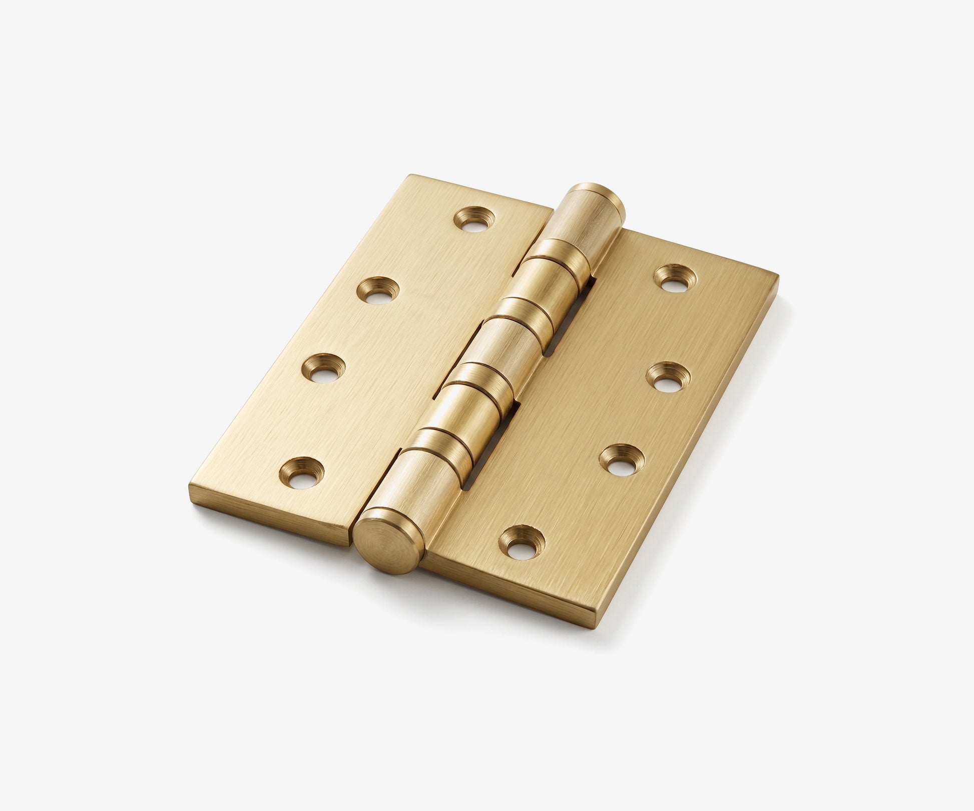 Pintle Door Hinge